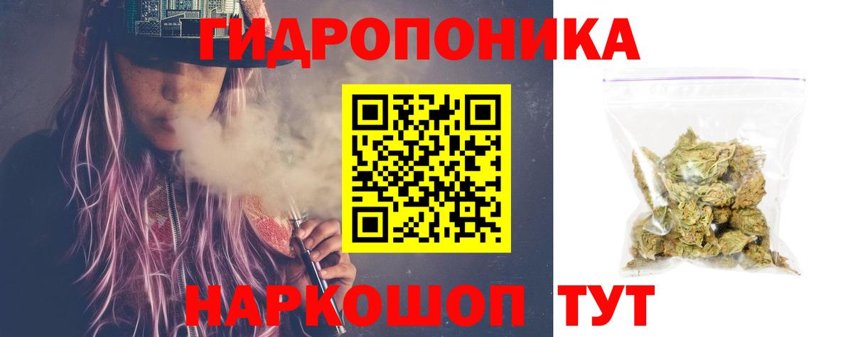Канабис сатива Шарыпово
